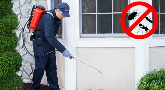 Gülyalı Kene İlaçlama böcek ilaçlama ve haşere kontrolü — ilaclama-tr.com